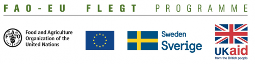Làng nghề gỗ – FAO EU FLEGT PROGRAM