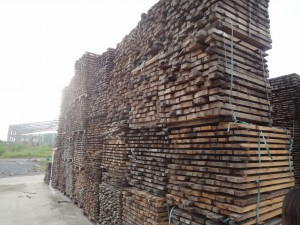 Nghị định về xử phạt vi phạm trong lĩnh vực lâm nghiệp