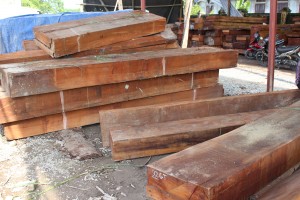Đổi hoặc chia tách giấy phép CITES nhập khẩu