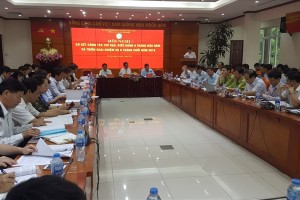 6 tháng đầu năm 2018: giá trị sản xuất lâm nghiệp ước đạt 13.000 tỷ đồng