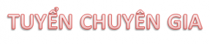 Đăng tuyển chuyên gia