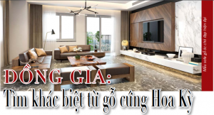 Đồng Gia: Tìm khác biệt từ gỗ cứng Hoa Kỳ